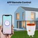 Розетка AVATTO Tuya Smart Zigbee 3.0 з монітором живлення, 16А